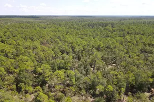 00 Sally Rd, Chipley, FL 32428 - Photo 1