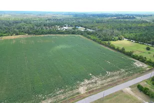 Tbd NW Ashley Shiver Rd, Altha, FL 32421 - Photo 1