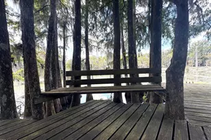 Lot 48 Jackson Bluff, Marianna, FL 32446 - Photo 1