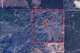 40 Acres Swan Ln, Campbellton, FL 32426 - Photo 1