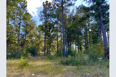 Lot 24 Fairview Road, Marianna, FL 32448 - Photo 1