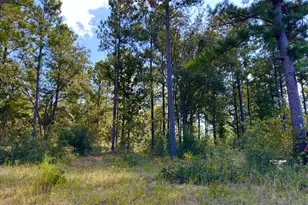 Lot 24 Fairview Rd, Marianna, FL 32448 - Photo 1