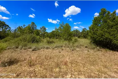 Lot 9 Marville Drive, Marianna, FL 32448 - Photo 1
