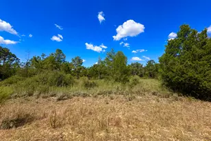 Lot 9 Marville Dr, Marianna, FL 32448 - Photo 1