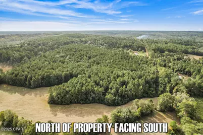 0 Ambus Lane, Chipley, FL 32428 - Photo 1