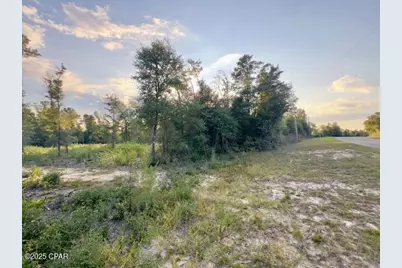 Lot 21 Blk 211 Vancouver Drive, Alford, FL 32420 - Photo 1