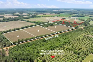 Tbd Brown Rd, Defuniak Springs, FL 32433 - Photo 1