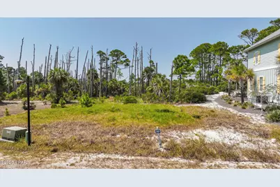 251 Cord Grass Way, Port Saint Joe, FL 32456 - Photo 1