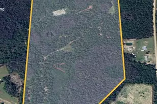 2445 Sandridge Church Rd, Grand Ridge, FL 32442 - Photo 1