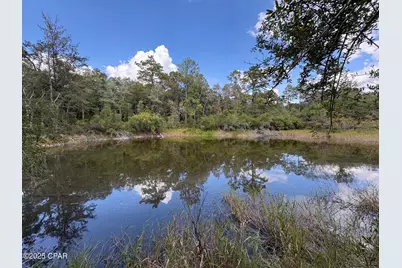 0000 Diane Place, Chipley, FL 32428 - Photo 1