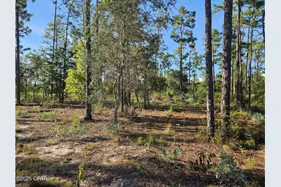 B-272 Springer Drive, Chipley, FL 32428 - Photo 1