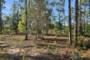 B-272 Springer Dr, Chipley, FL 32428 - Photo 1