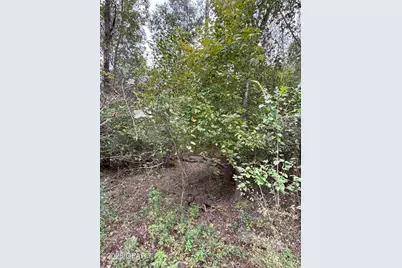 Xxx Hillcrest Street, Marianna, FL 32448 - Photo 1