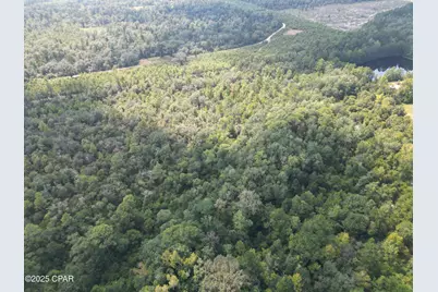 0000 Holmes Valley Road, Vernon, FL 32462 - Photo 1