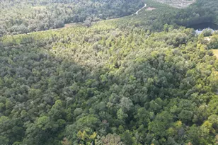 0000 Holmes Valley Rd, Vernon, FL 32462 - Photo 1