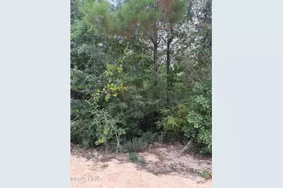 0 Grand Mesa Ave Avenue, Alford, FL 32420 - Photo 1