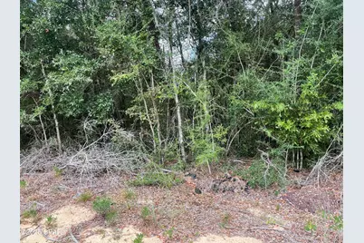 Lot 23 Geraldine Circle, Chipley, FL 32428 - Photo 1