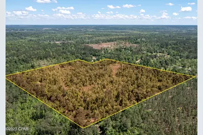 00 Pioneer Road, Chipley, FL 32428 - Photo 1