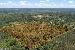 00 Pioneer Rd, Chipley, FL 32428 - Photo 1