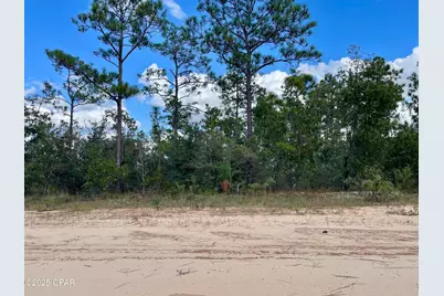 0 Frederica, Alford, FL 32420 - Photo 1