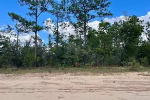 0 Frederica, Alford, FL 32420 - Photo 1