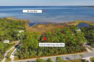 Tbd Cape San Blas Rd, Port Saint Joe, FL 32456 - Photo 1