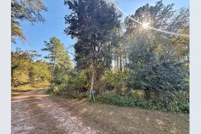 00 Lure Lane, Sneads, FL 32460 - Photo 1