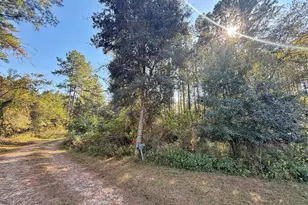 00 Lure Ln, Sneads, FL 32460 - Photo 1