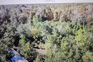9110 Oakridge Ln, Youngstown, FL 32466 - Photo 1