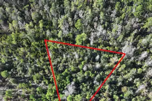 0 Pisgah Ct, Alford, FL 32420 - Photo 1