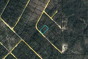 Lot 11 Aster Circle, Marianna, FL 32448 - Photo 1