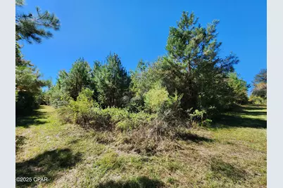 0000 Pineridge Church Road, Marianna, FL 32448 - Photo 1