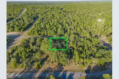 0000 Shenandoah Boulevard #Lot 3, Chipley, FL 32428 - Photo 1