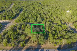 0000 Shenandoah Blvd, Chipley, FL 32428 - Photo 1