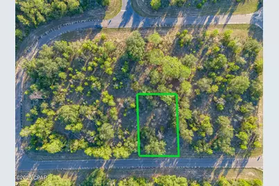 0000 Shenandoah Boulevard #Lot 4, Chipley, FL 32428 - Photo 1