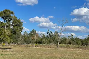 0 Orange Hill Rd, Chipley, FL 32428 - Photo 1