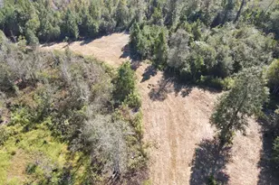 0 Brushey Pond Rd, Grand Ridge, FL 32442 - Photo 1