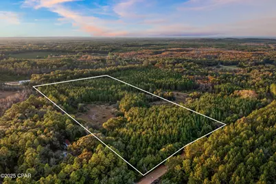 Xxx Fortune Pond Road #(South 20 acres), Vernon, FL 32462 - Photo 1