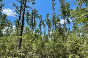 0000 Main St, Ponce de Leon, FL 32455 - Photo 1