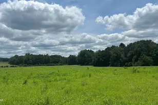 1390 Hurricane Crk Rd, Westville, FL 32464 - Photo 1