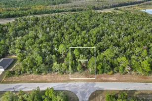 1 Gemini Circle, Chipley, FL 32428 - Photo 1