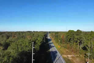 Xxx Sr 20, Hosford, FL 32334 - Photo 1