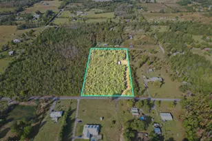 Tbd NE Luke Holland Rd, Altha, FL 32421 - Photo 1