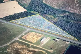 0000 N Sr 71, Altha, FL 32421 - Photo 1