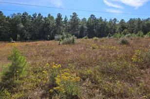 00 Delaware Dr, Defuniak Springs, FL 32433 - Photo 1