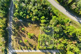 Tbd Pear St, Wewahitchka, FL 32465 - Photo 1