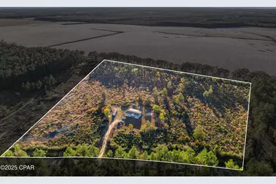 959 Sandy Ramp Road, Defuniak Springs, FL 32433 - Photo 1