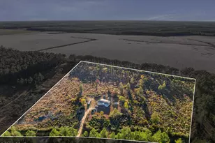 959 Sandy Ramp Rd, Defuniak Springs, FL 32433 - Photo 1