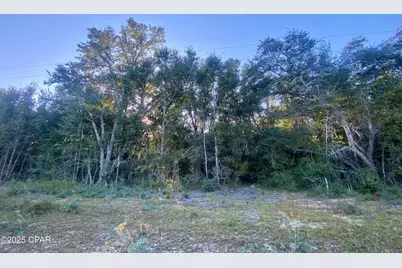 Lot 2 Coronado Avenue, Alford, FL 32420 - Photo 1