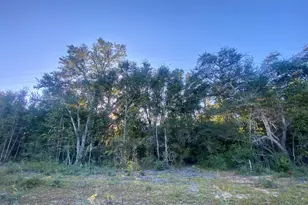 Lot 2 Coronado Ave, Alford, FL 32420 - Photo 1